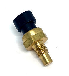 Sensor térmico Znen 125