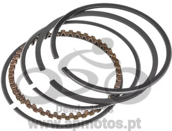 SEGUEMENTOS 52,40 STD