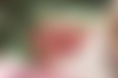 CONCEPITI PER ERRORE