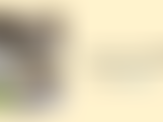 Széder Est a Frankelben