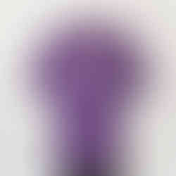 anonyパープルシャツ