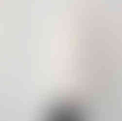 オフホワイト横