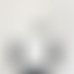 ホワイトT