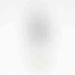 ホワイトロゴ前