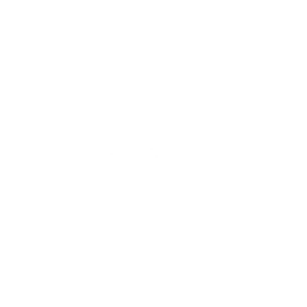 JOSEPH ABBOUD
