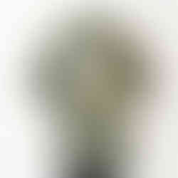 カーキー後ろ