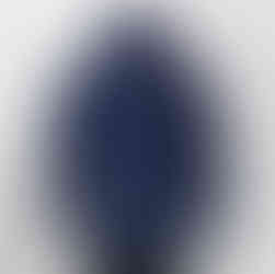 フーディメイビー後ろ