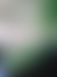 ビアガーデンにいかが？ 屋上ルーフバルコニー付き：カフェ＆バー居抜き店舗