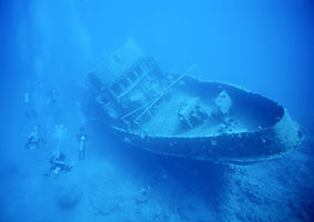 Diver hovering by a wreck railing with schooling fish, followed by a shallow reef scene.