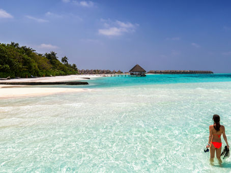 Scuba and Snorkeling Cancun and Isla Mujeres