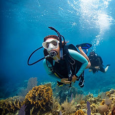 Padi Open water plus a day extra training manta Divers