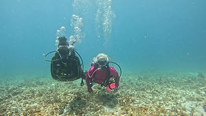 Two tank reef dive off Cancun with Manta Dive & Snorkel Cancun