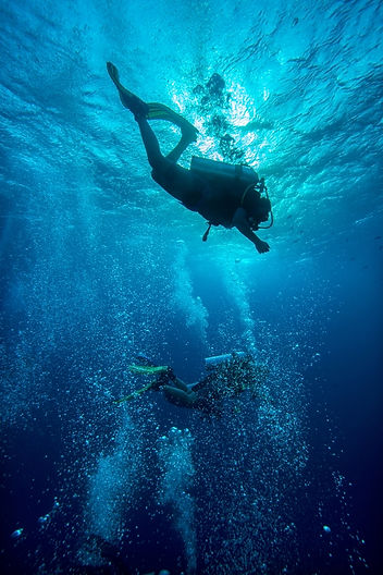 Reef scene with clear 80 ft visibility and gentle current visible in soft coral sway.