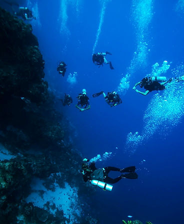 Drift dive with Manta Divers Cancun