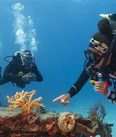 PADI Divemaster course in Cancun – dive master guiding divers and pointing out staghorn coral on reef