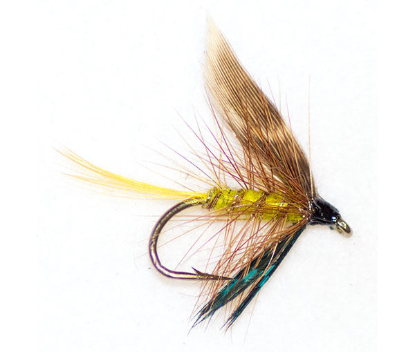 Invicta trout fly invented by James Ogden