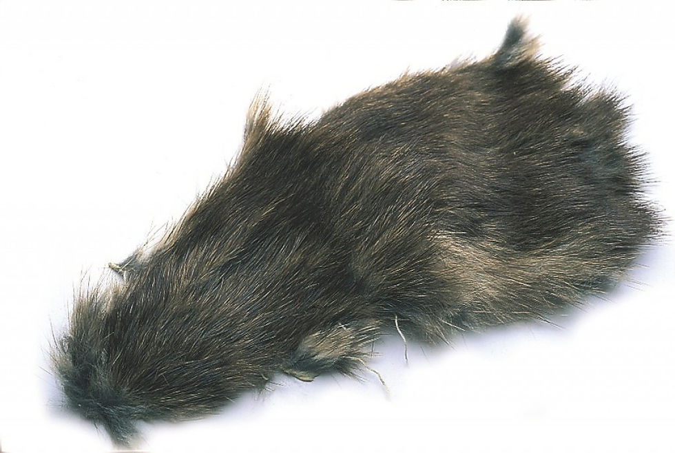 Muskrat skin for fly tying