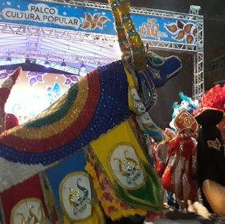 Campeão do Carnaval de Pernambuco, Boi Maracatu é ovacionado no FIG 2019.