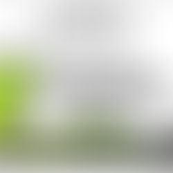 Programação da Associação Cultural Boi Maracatu no 11° festival Lula Calixto 2019.