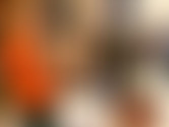 Een nieuwe plek ontkiemt in Amsterdam-Noord