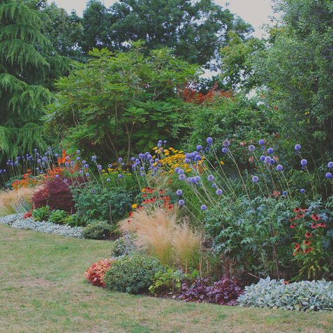 Painting with plants - Otford