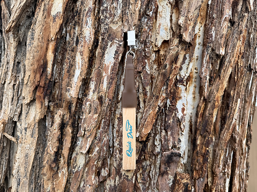 Quick draw magnetic pencil holder with carpenter pencil secured using a spring clip for storage