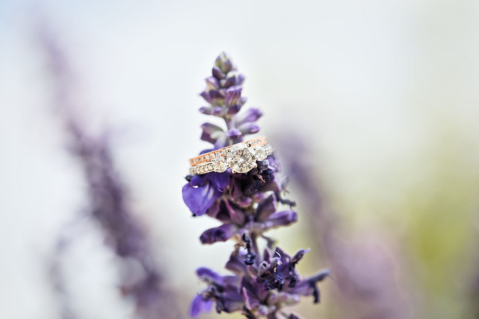 wedding ring photography from lavender ridge wedding venue reno