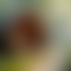 Why I Fell in Love With Sauna (And You Might Too)