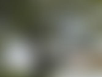 American Reformer Article on Nature and Grace