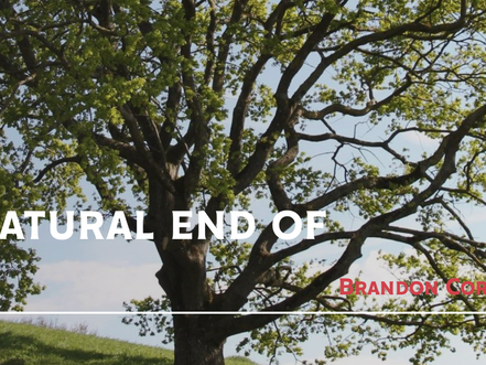 American Reformer Article on Nature and Grace