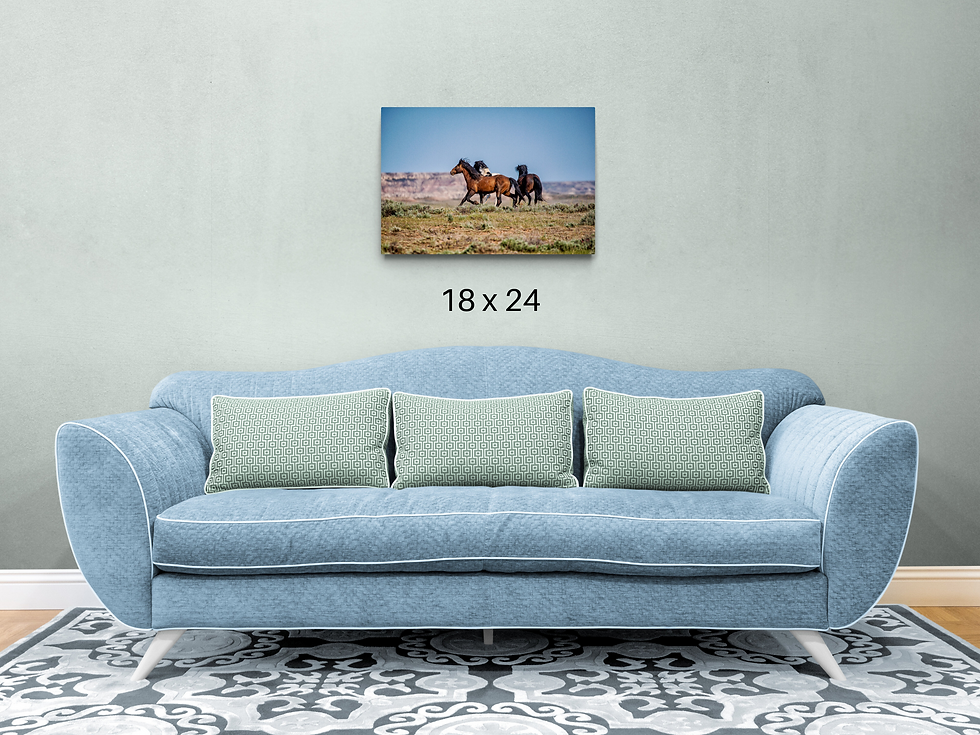 Thumbnail: Wild Horse Wall Art "Run in the Sun" Photo Print Canvas