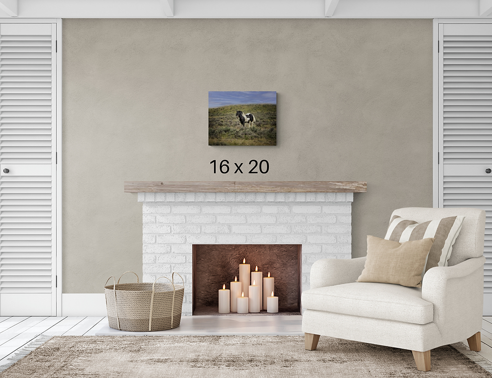 Thumbnail: Wild Horse Wall Art "Washaki" Photo Print Canvas Metal