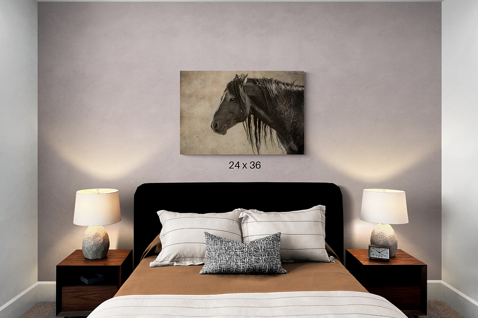 Thumbnail: Wild Horse Wall Art "Midnight Rider" Photo Print Canvas Metal