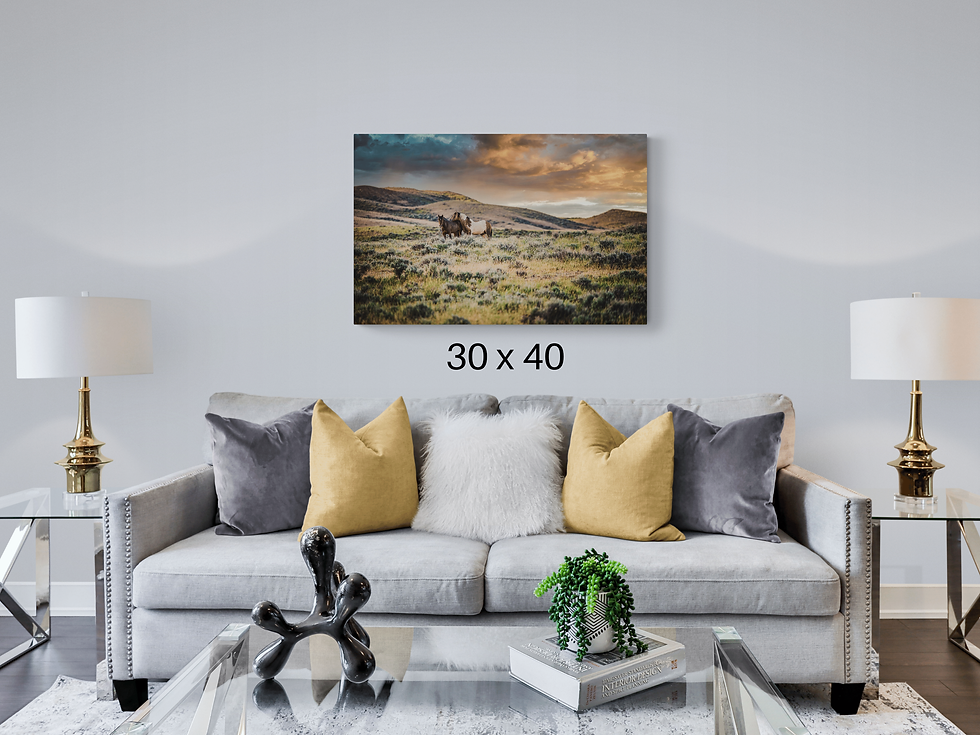 Thumbnail: Wild Horse Wall Art "Stay Close" Photo Print Canvas Metal