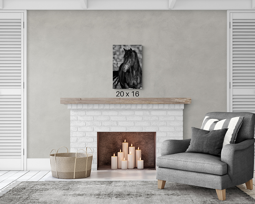 Thumbnail: Wild Horse Wall Art "Stop and Stare" Photo Print Canvas