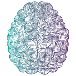 PNG Gradient Brain Only.png