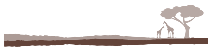 brown_bar_giraffe.png