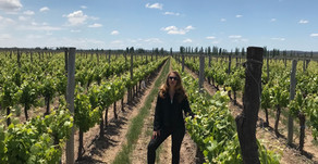Celebremos la Malbec