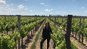 Celebremos la Malbec