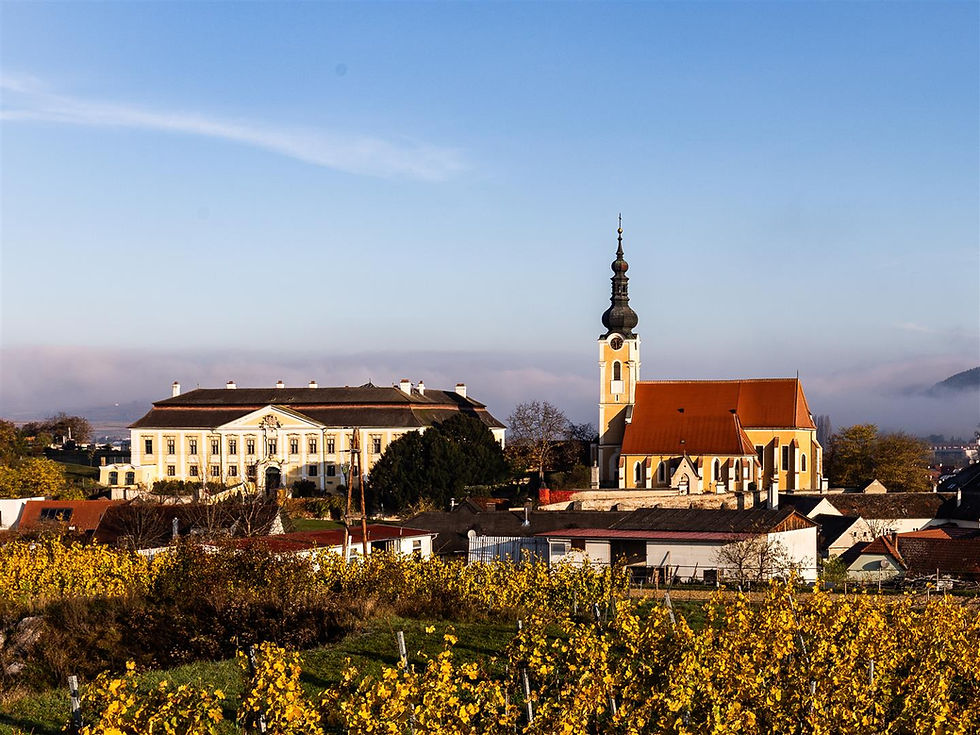 Descubriendo los Vinos de Austria: Una Experiencia Inolvidable