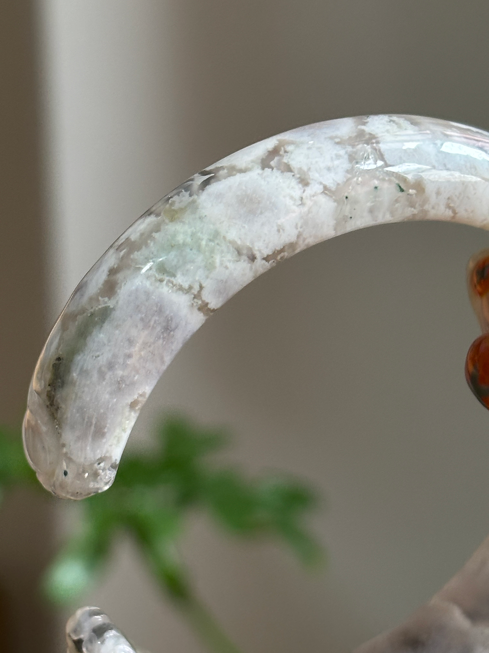 Thumbnail: Mèo 53.7 chột 12.3 dày 8.2