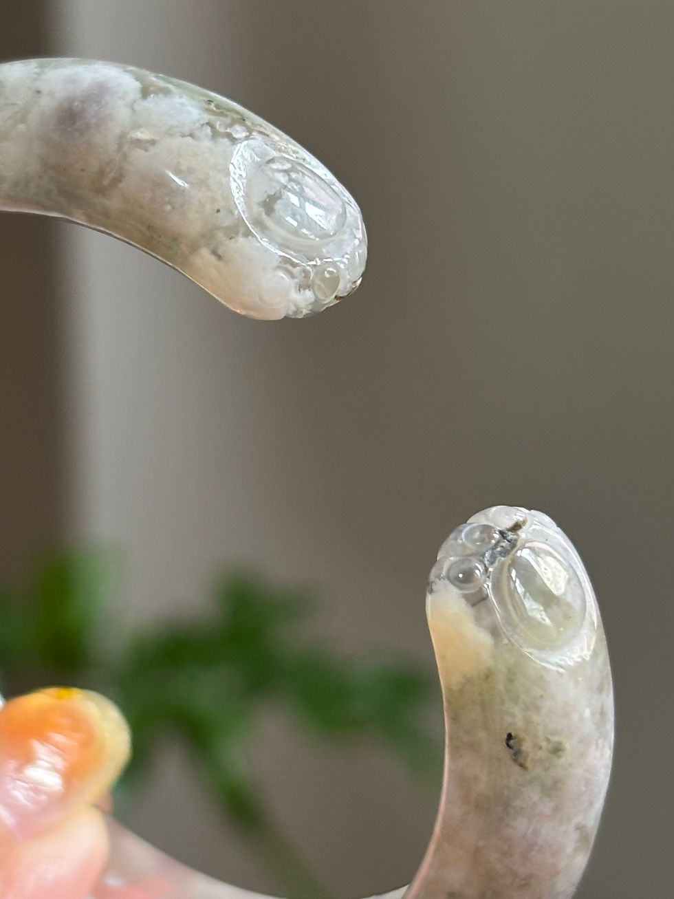 Thumbnail: Mèo 53.7 chột 12.3 dày 8.2