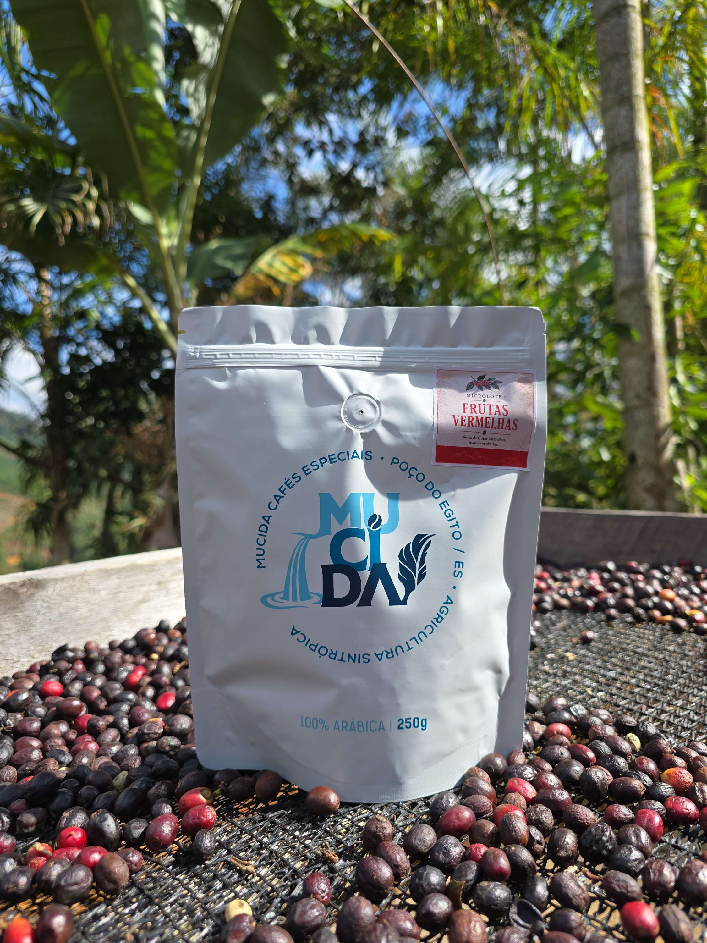 Microlote Frutas vermelhas
