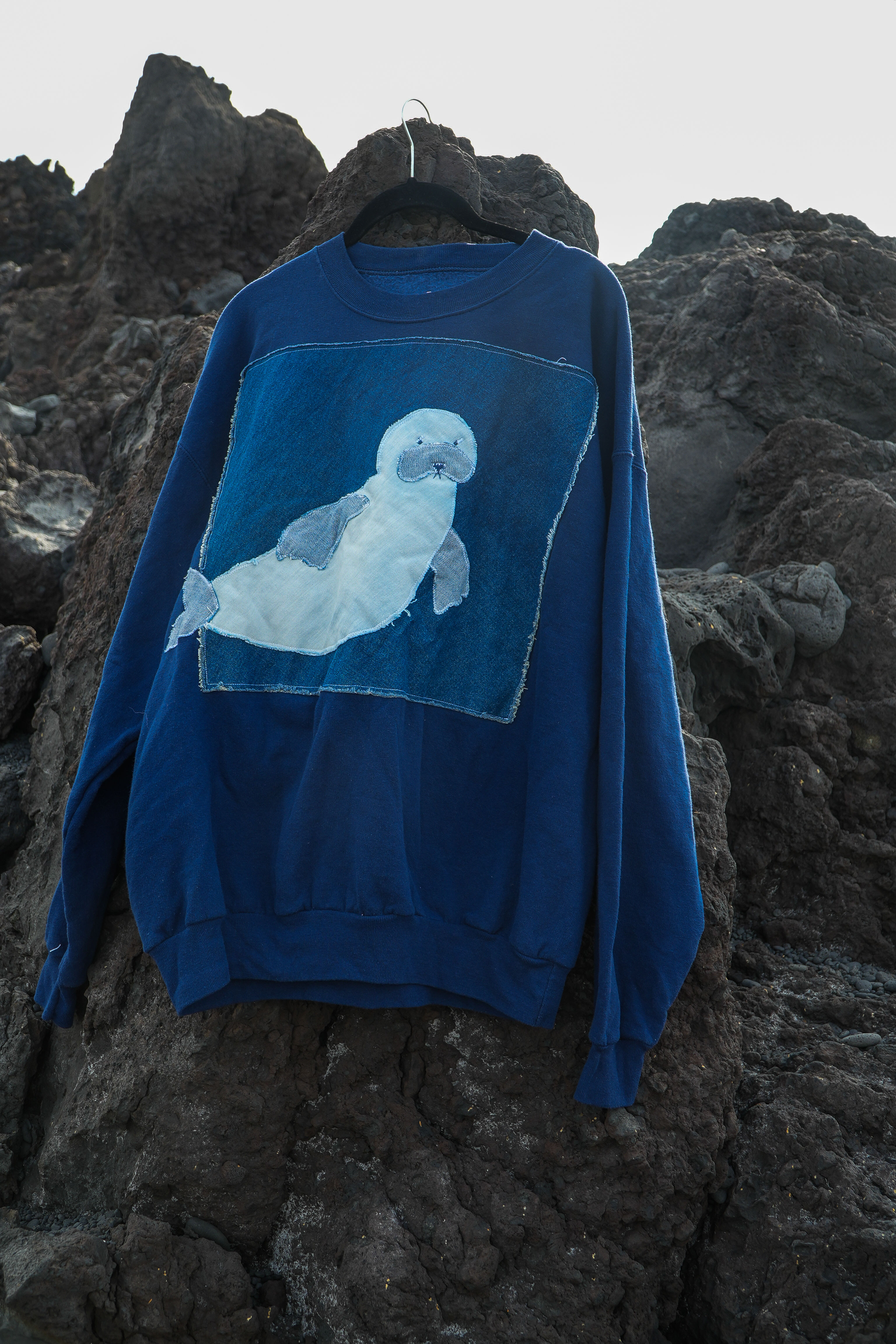 monk seal sweatshirt