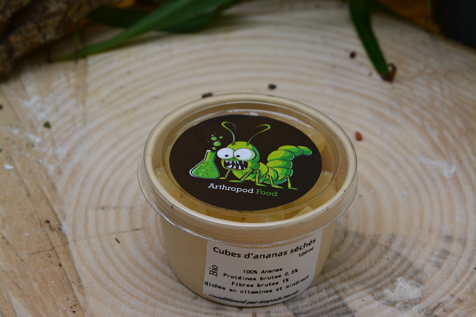 Thumbnail: Ananas coupées et séchées - Arthropod food