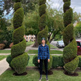 Topiary Shape and Design