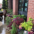 Shade Patio Pots