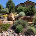 Desert/Native Garden