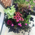 Flower Pot Design