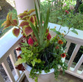 Shade Pot
